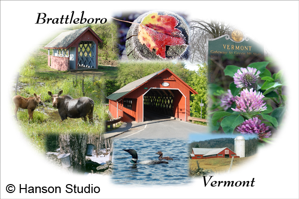 Brattleboro, VT - Collage #2 with moose & calf